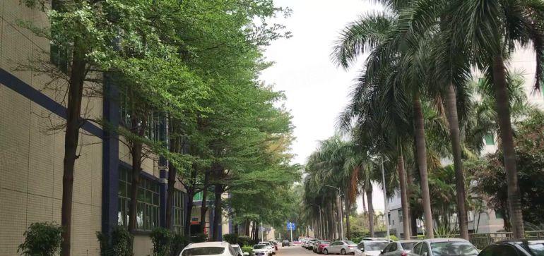 观澜地铁口旁原房东实际面积出租厂房一楼800平起带红本可大车