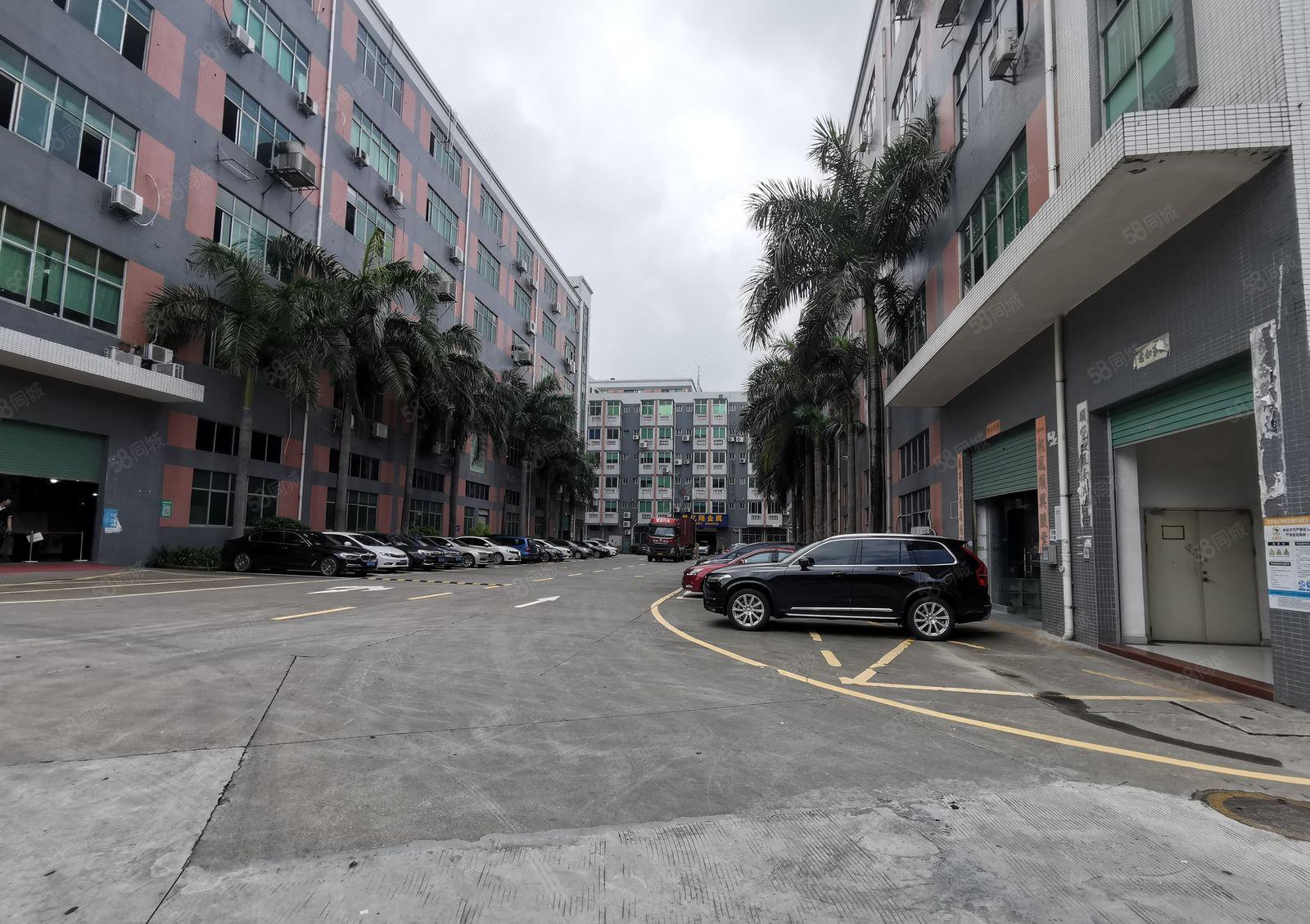 龙华浪口500平原房东整层精装修仓库厂房出租，200平起分租