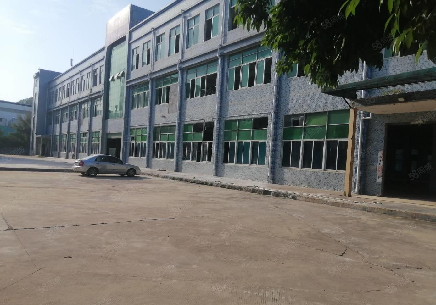 300平起租观澜原房东独门独院水电齐全12500平精装修厂房