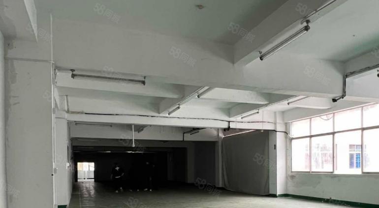 红本，可办租赁凭证，价格可面议