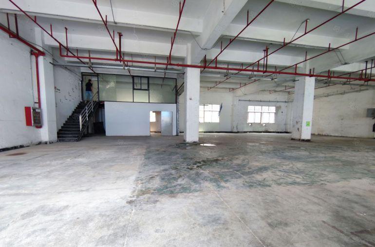 观澜工业园内 一楼厂房出租800平方 带办公室装修