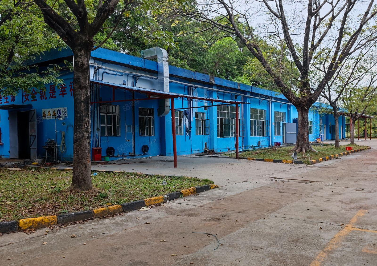 观澜竹村地铁标准一楼厂房共8000平方出租 300平米起租