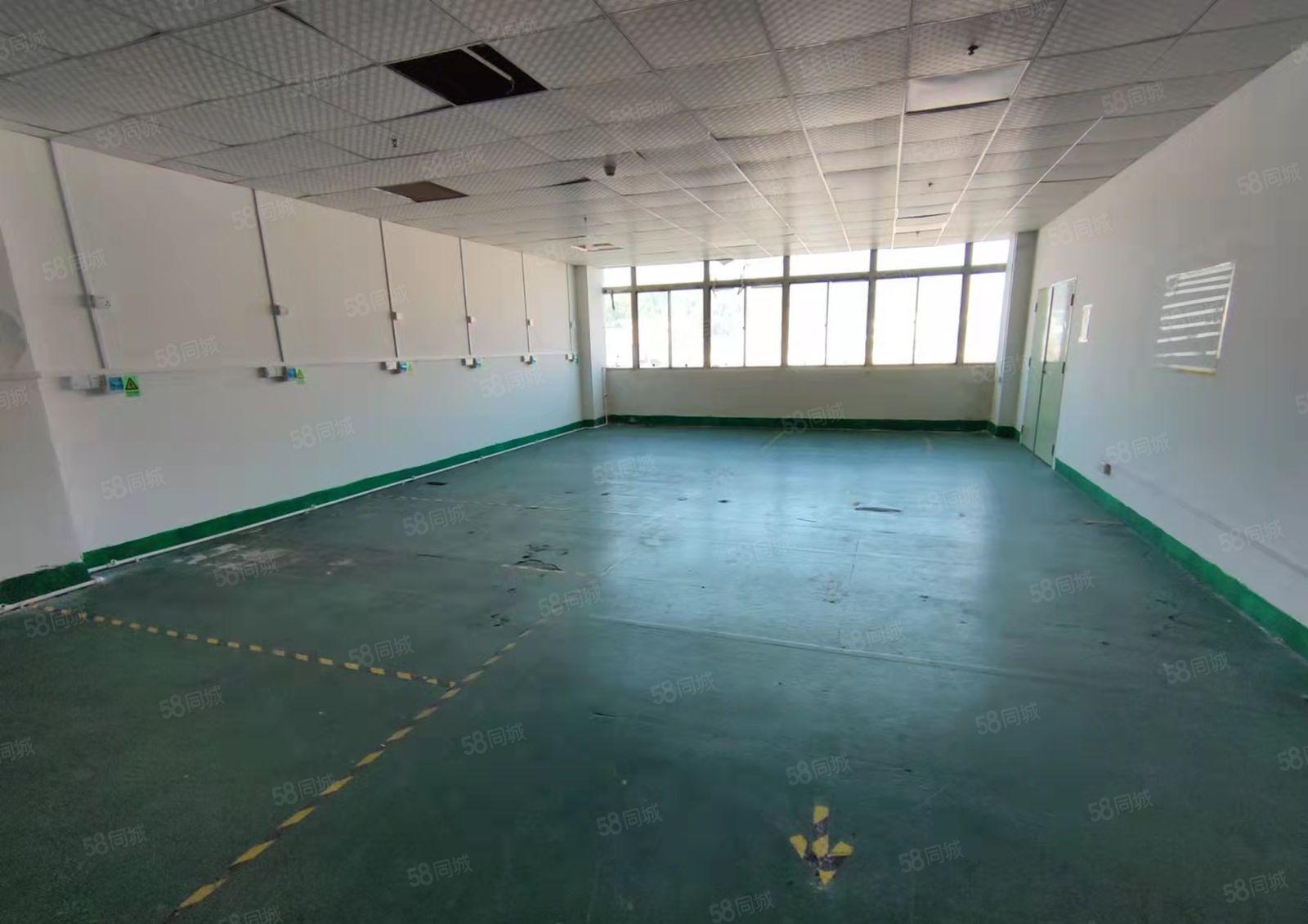 深圳龙华天虹附近新出楼上168平精装办公厂房出租