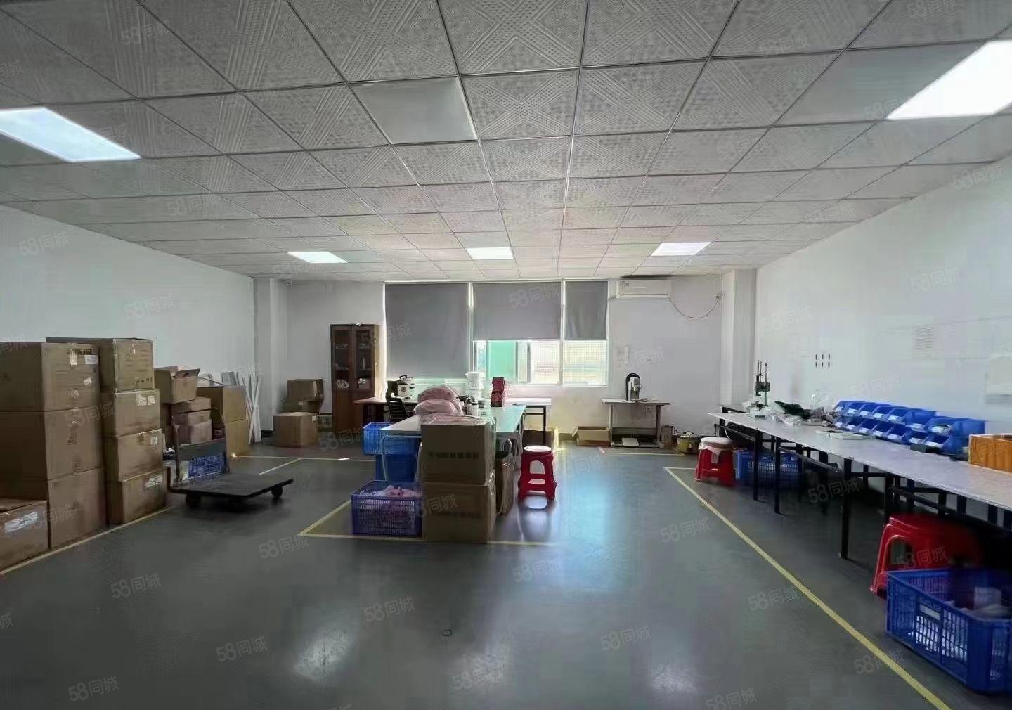 大浪新百丽，原房东，精装修618平厂房出租