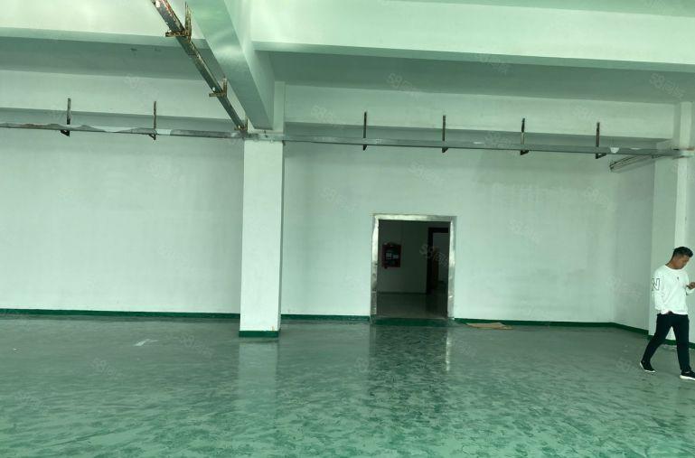 特价22元一平。大浪原房东厂房500平出租，三吨货梯行业不限