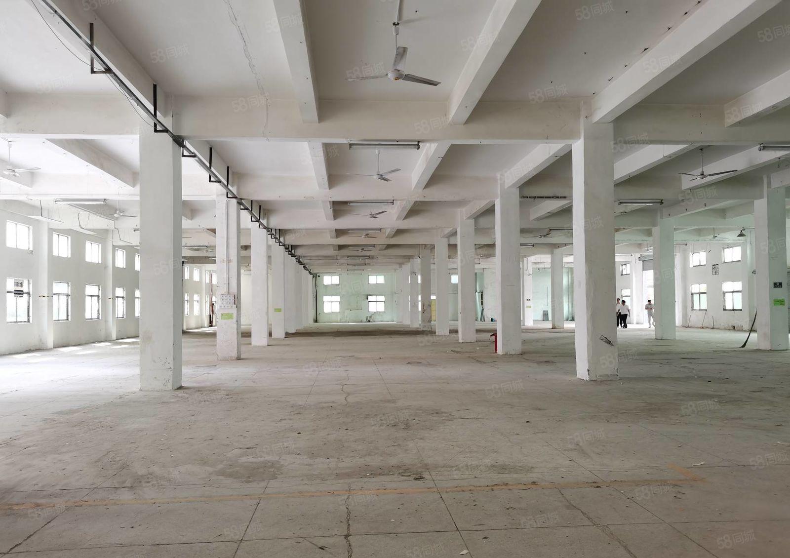 观澜樟坑径下围工业区新出一楼单层1600平方出租