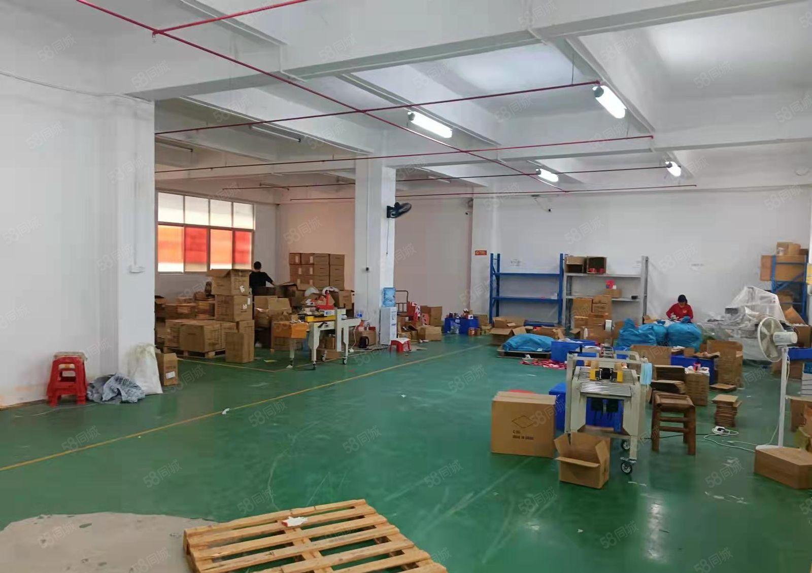 龙华天虹附近一楼475平标准厂房出租