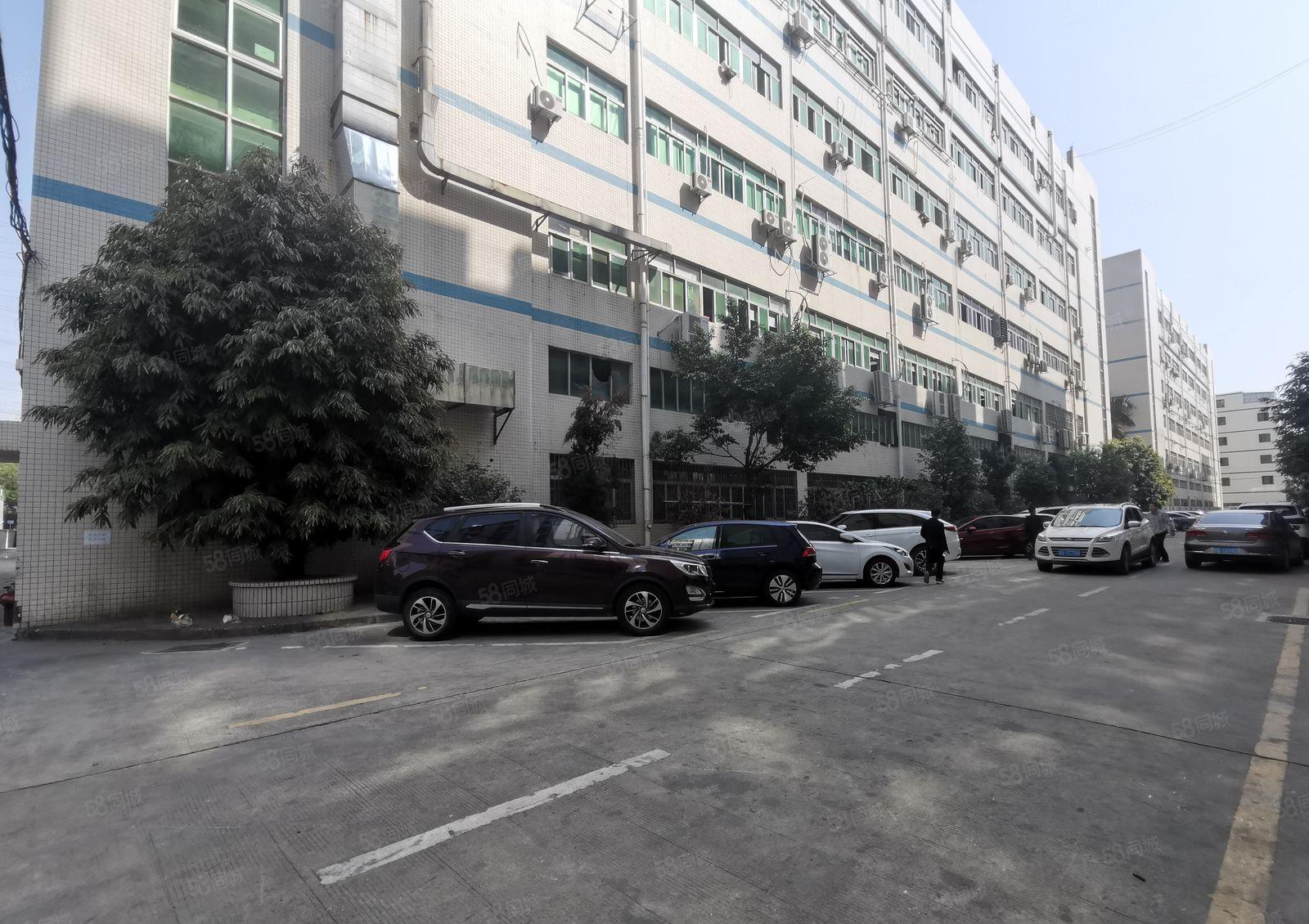 龙华大浪上横朗工业园1000平精装修办公室仓库厂房出租可分租