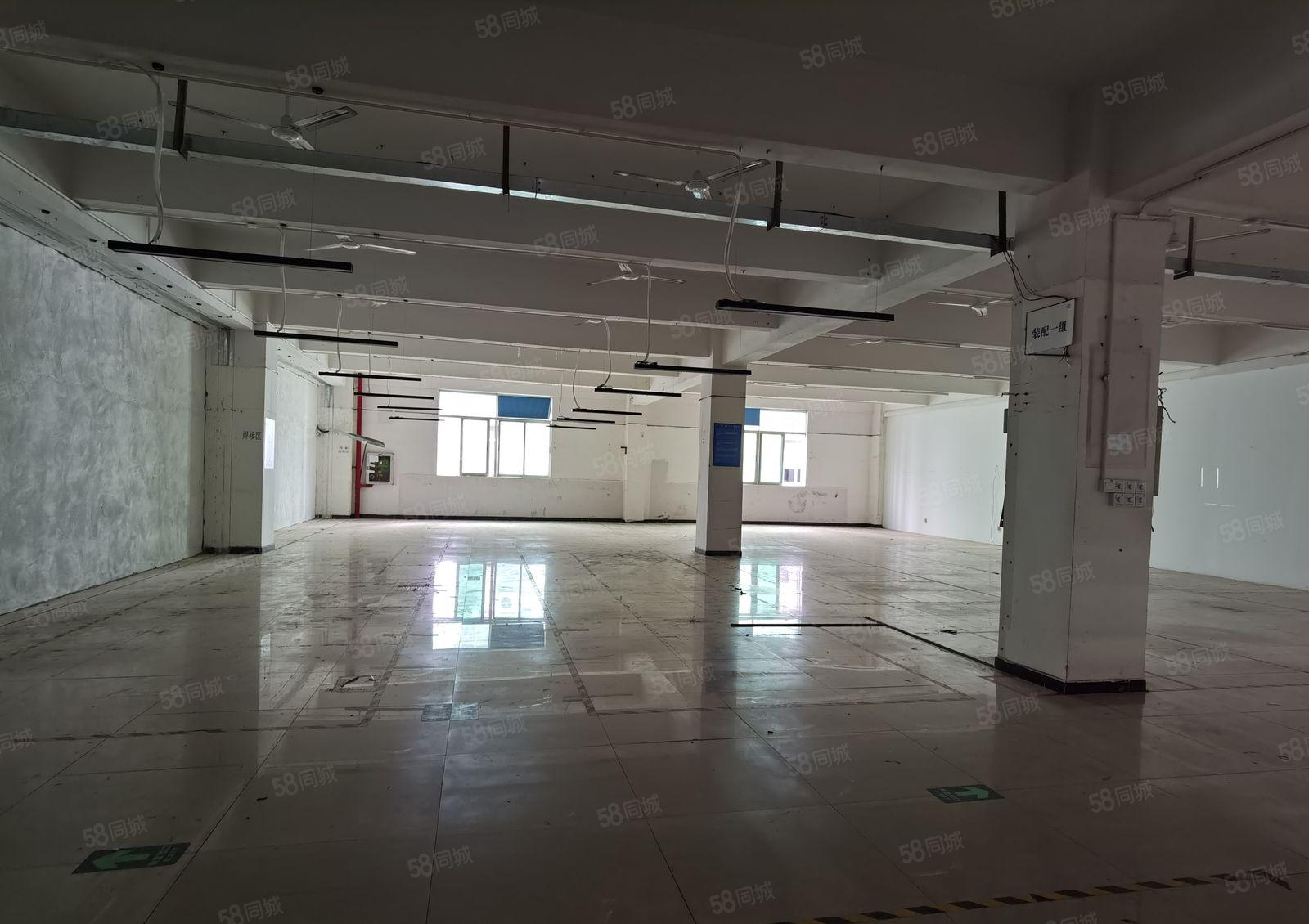 龙华大浪华宁路原房东标准厂房1200平米出租现成办公室和车间