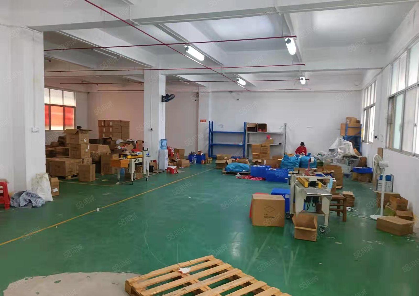 龙华天虹附近一楼475平标准厂房出租