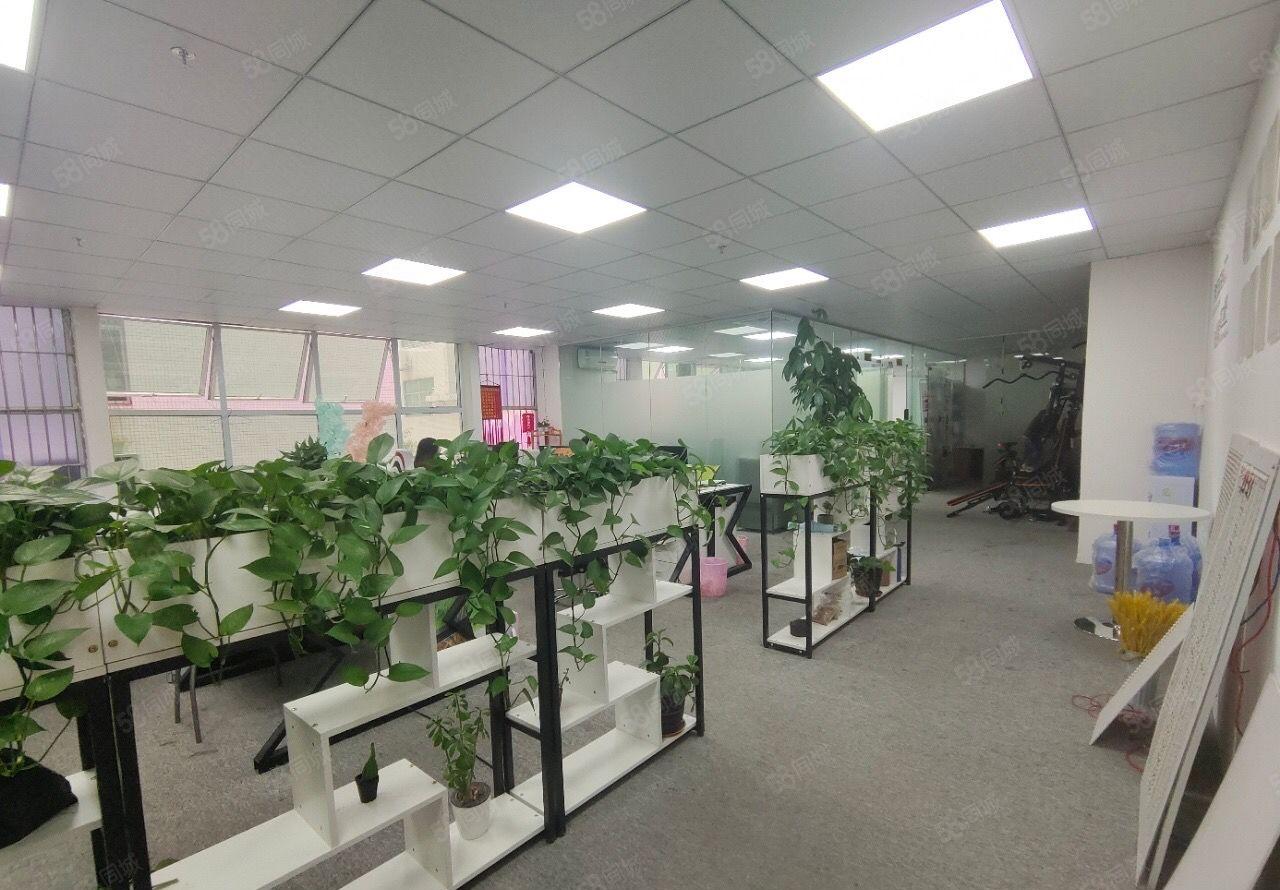 26块一平大浪高新园区带精装修900平厂房领包入驻