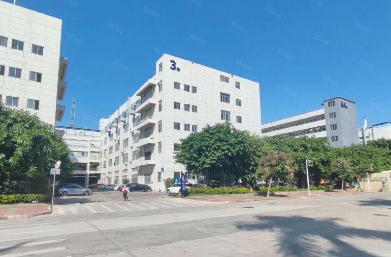 龙华大浪原房东红本工业园精装修1000平方办公室厂房低价出租