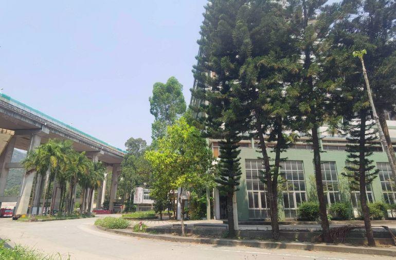 龙华科技园300~5000平定制装修，打造园林景观科技聚集地