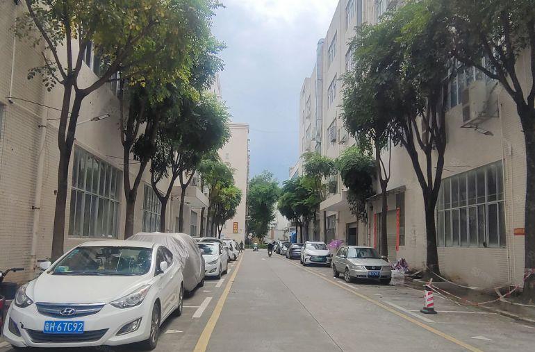 龙华大浪元芬地铁口精装修厂房出租2000平，大气前台可以分租