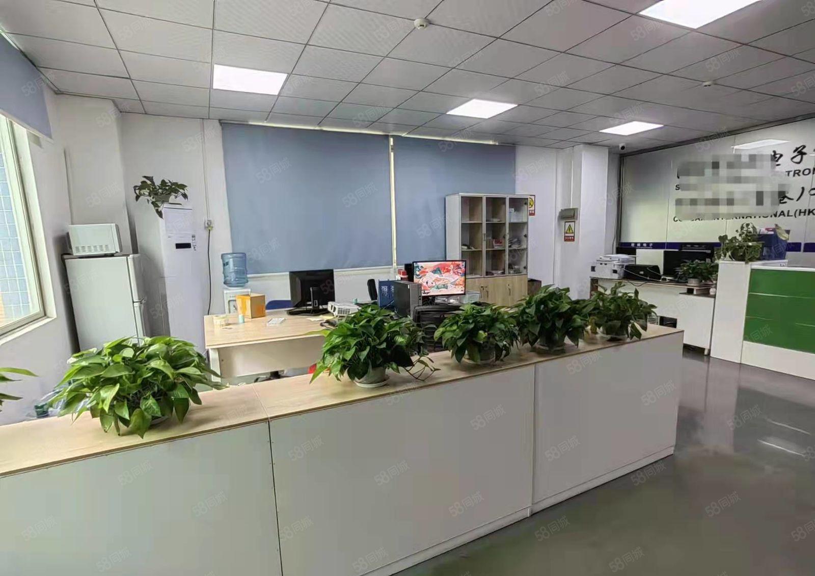 大浪新出2楼整层500平精装修标准厂房原房东直租