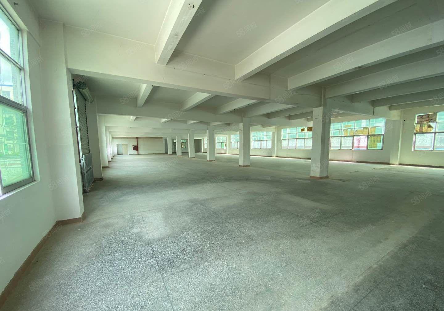 24起元龙华观澜原房东厂房仓库出租1楼层高6米方正空地大