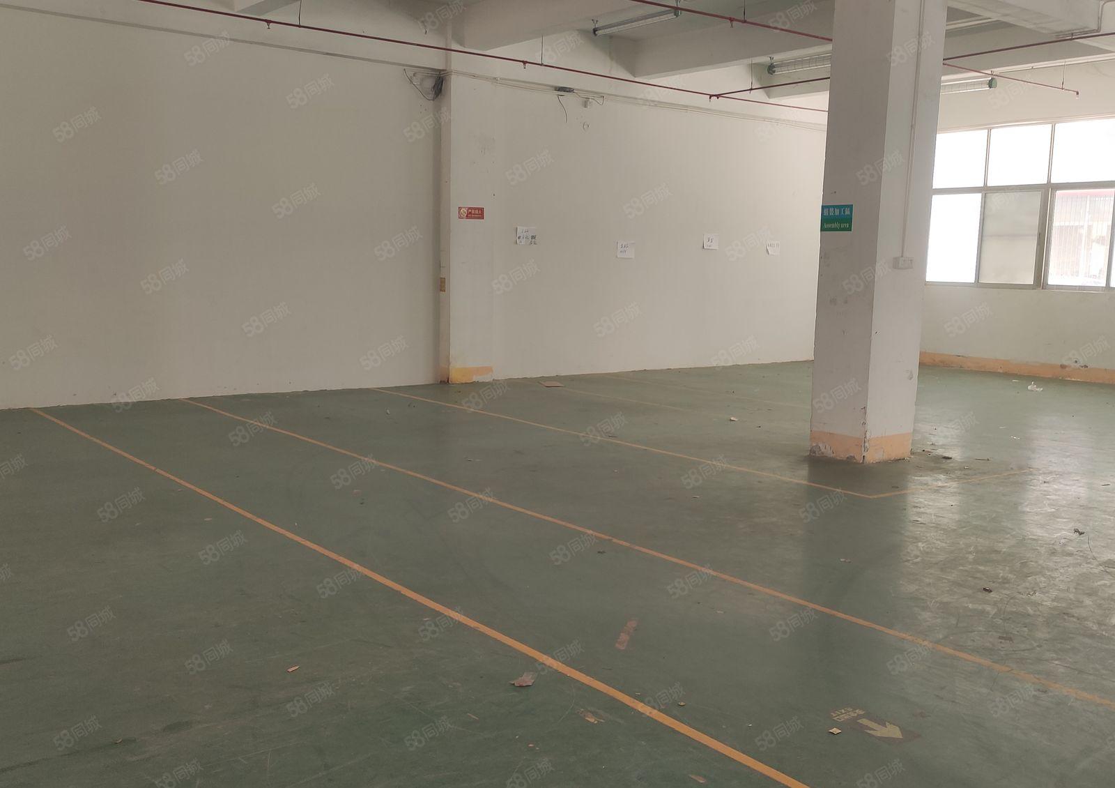 龙华天虹附近老围工业区一楼475平米厂房仓库出租