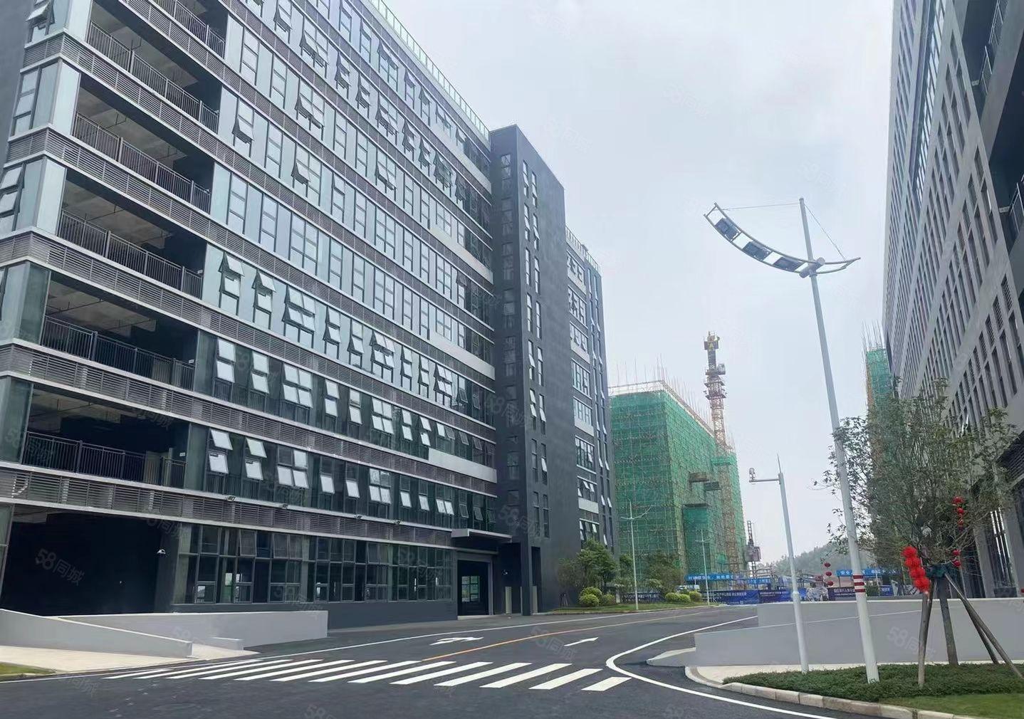 1000平方起，观澜樟坑径80000平，厂房出租，红本，低价