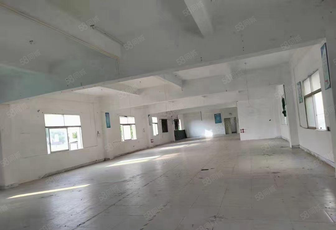 观澜牛湖地铁口旁小独院13层共2450平方全新装修出租