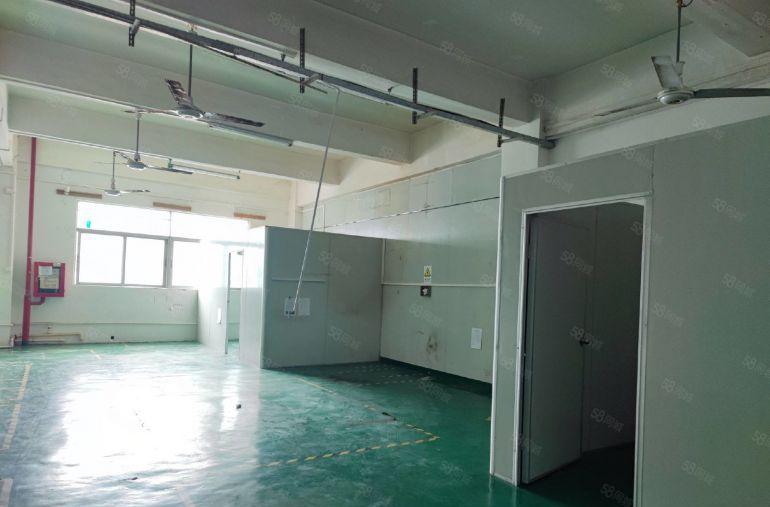 观澜大水坑厂房出租350平方 带装修厂房出租