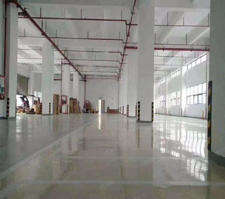 龙华大浪石龙仔500至2000平一楼厂房出租 高7米带航车