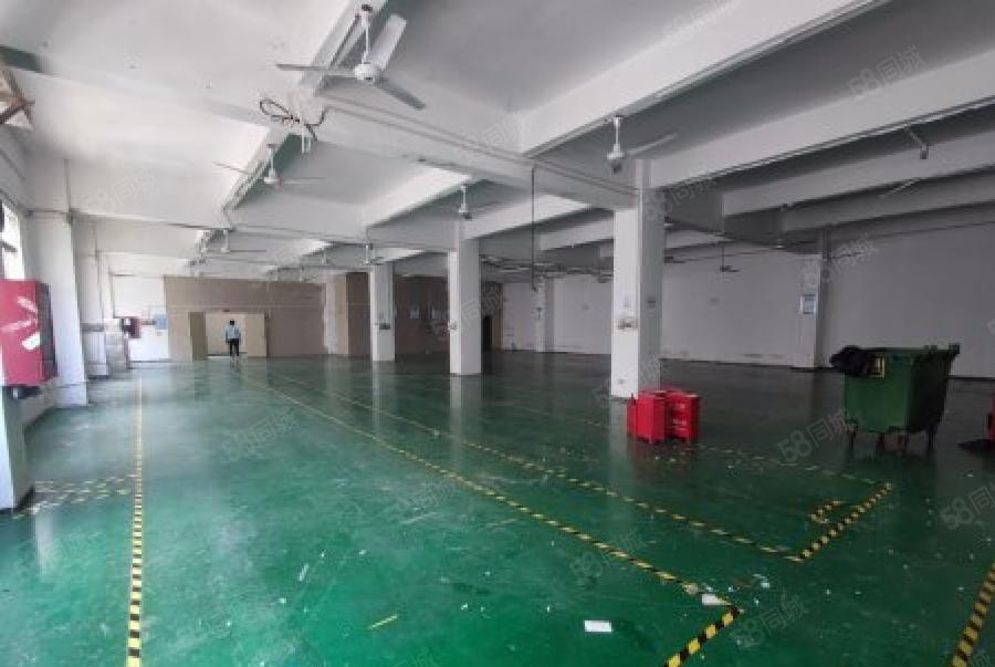 观澜松元主干道边楼上1000平精装修办公室厂房仓库出租可分租