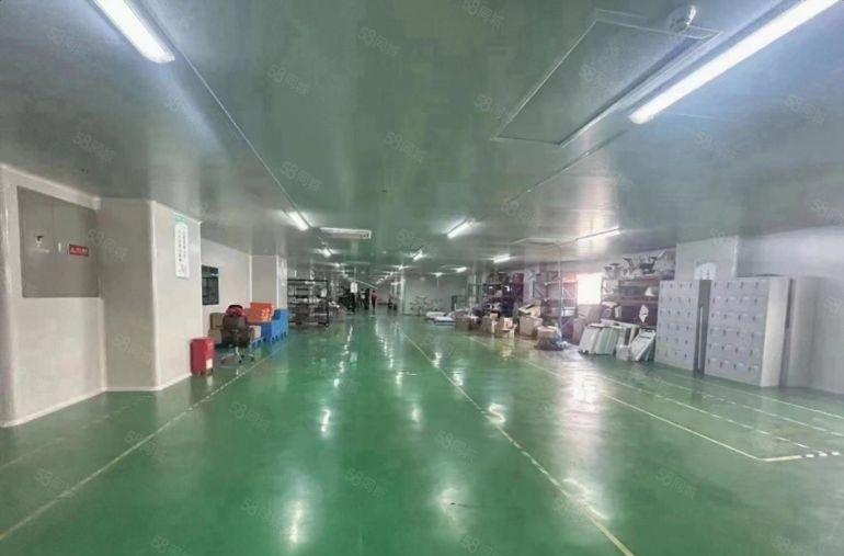 观澜新田原房东楼上500平带精装修电商仓库电子厂房有无尘车间