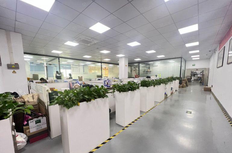 观澜牛湖独门独院厂房分租600平精装办公室研发电商仓库出租