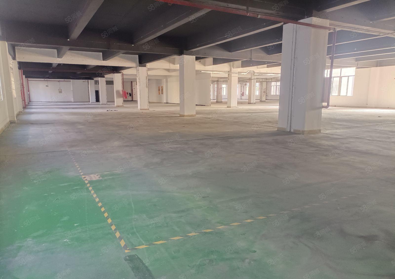龙华油松花园式厂房整层3000平，200平起分租空地大好停车