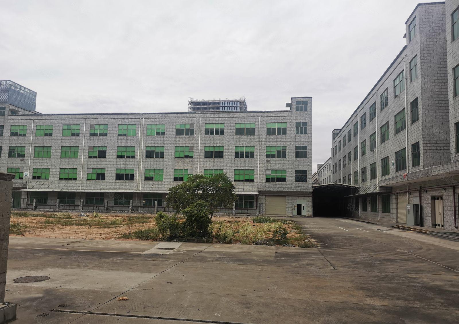 观澜章阁主干道边原房东红本厂房园区3.5万平方招租可分租