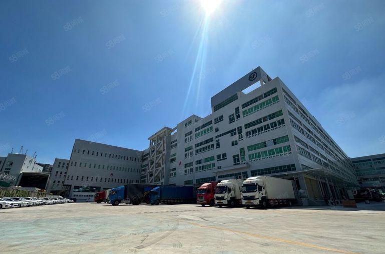 龙华中心福龙路口超大型数字物流仓一楼1000平起租带卸货平台
