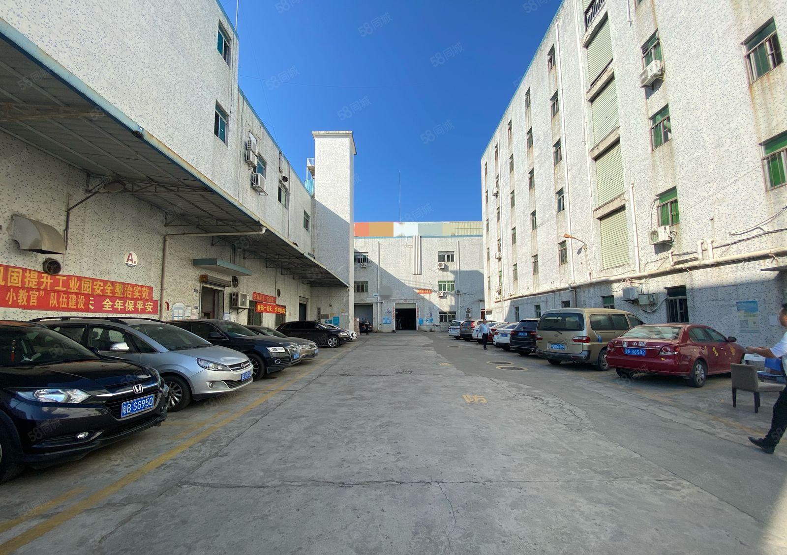 观澜桂花楼上500平原房东小面积精装修厂房仓库出租