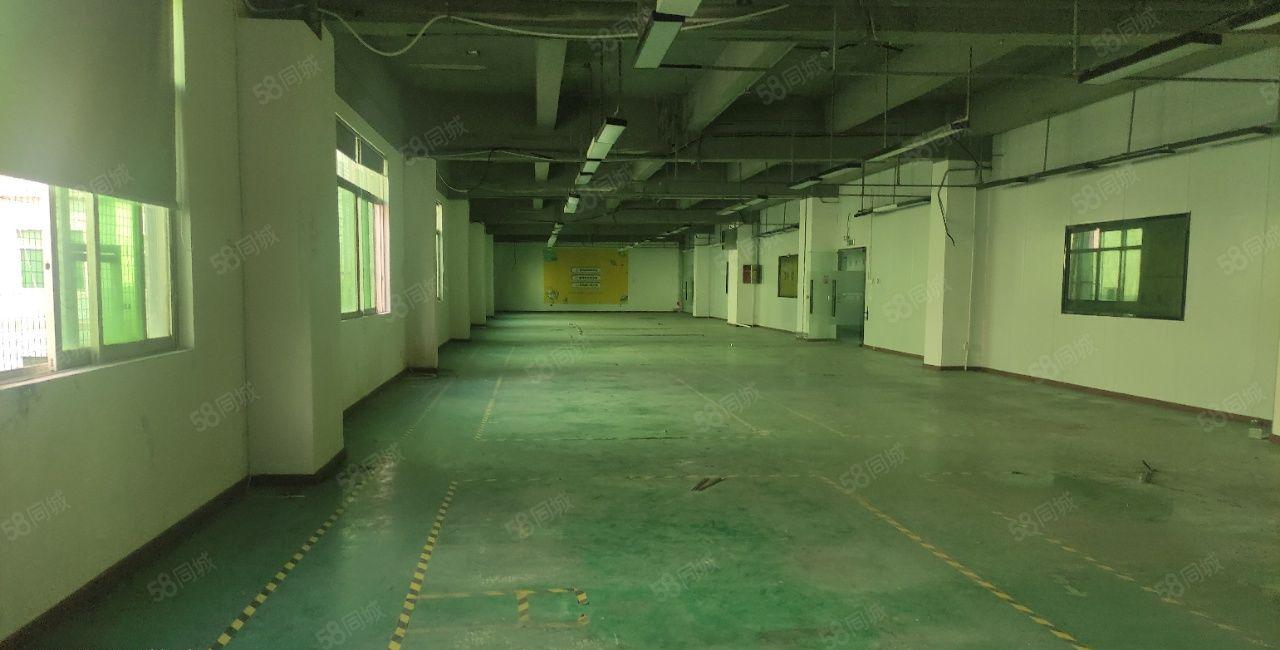 房源龙华清湖整层2000平米500起平米分租地坪漆带隔间