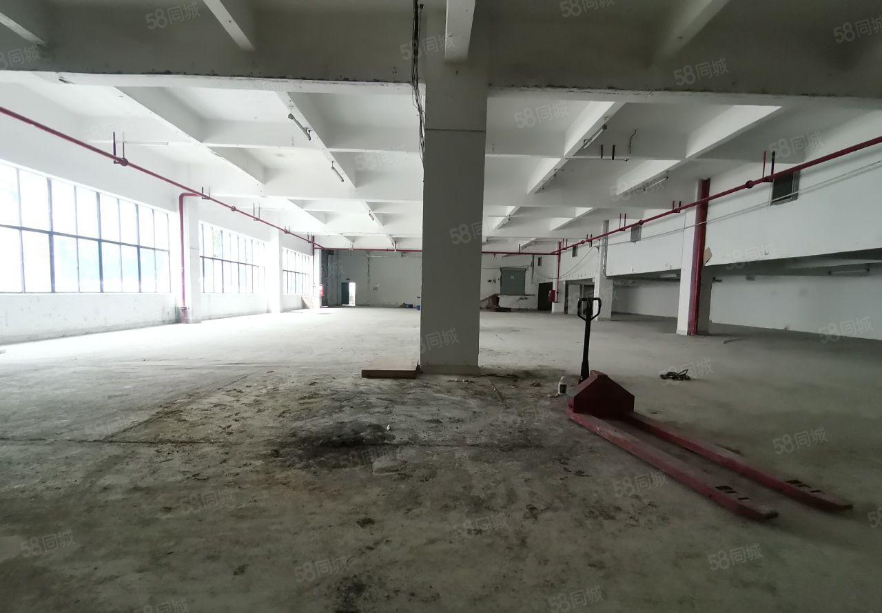 龙华油松原房东利金城工业园一楼1000平米标准红本厂房出租
