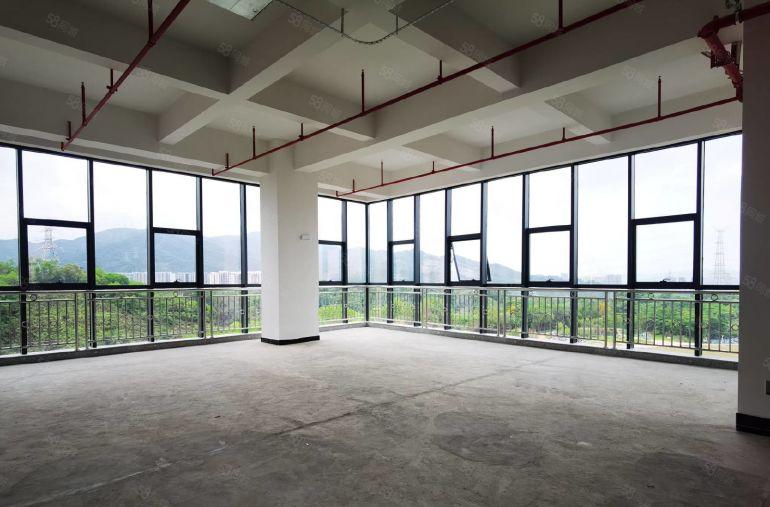 龙华大浪100起至60000平带定制精装修厂房仓库办公室出租