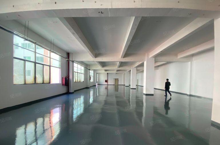 租金21元全包。龙华大浪原房东厂房仓库，二楼480平出租