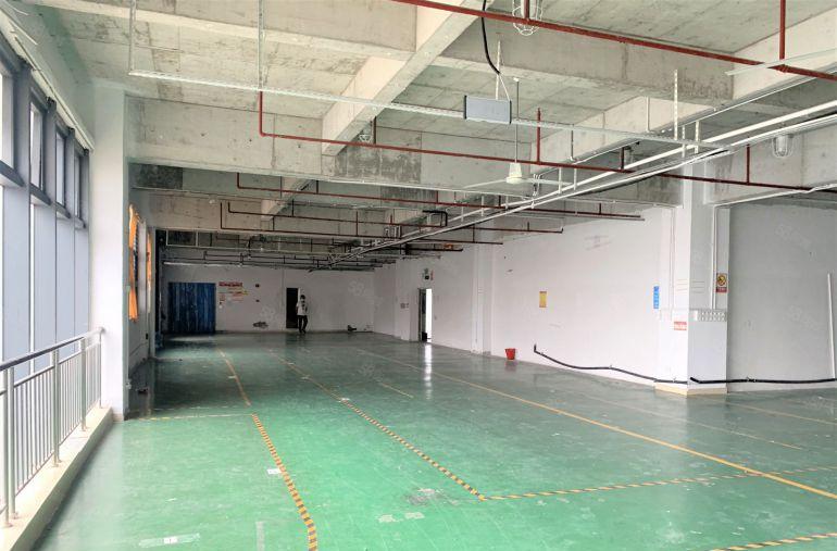 龙华大浪红本厂房1600平带精装修办公室仓库出租可分租易招工