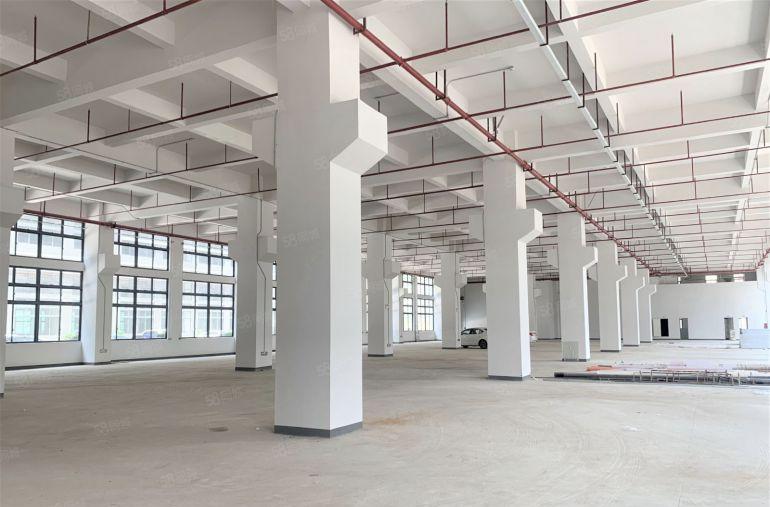 龙华大浪原房东一楼实际面积出租1500平可分租好进大车