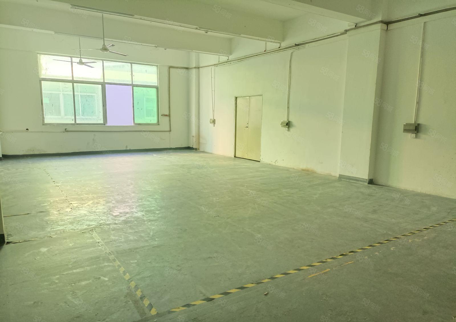 龙华大浪商业中心附近标准厂房3000平出租200平起租空地大