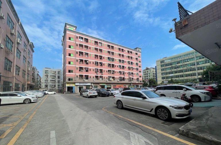 龙华大浪工业园一楼1000平厂房仓库低价出租层高7米可分租