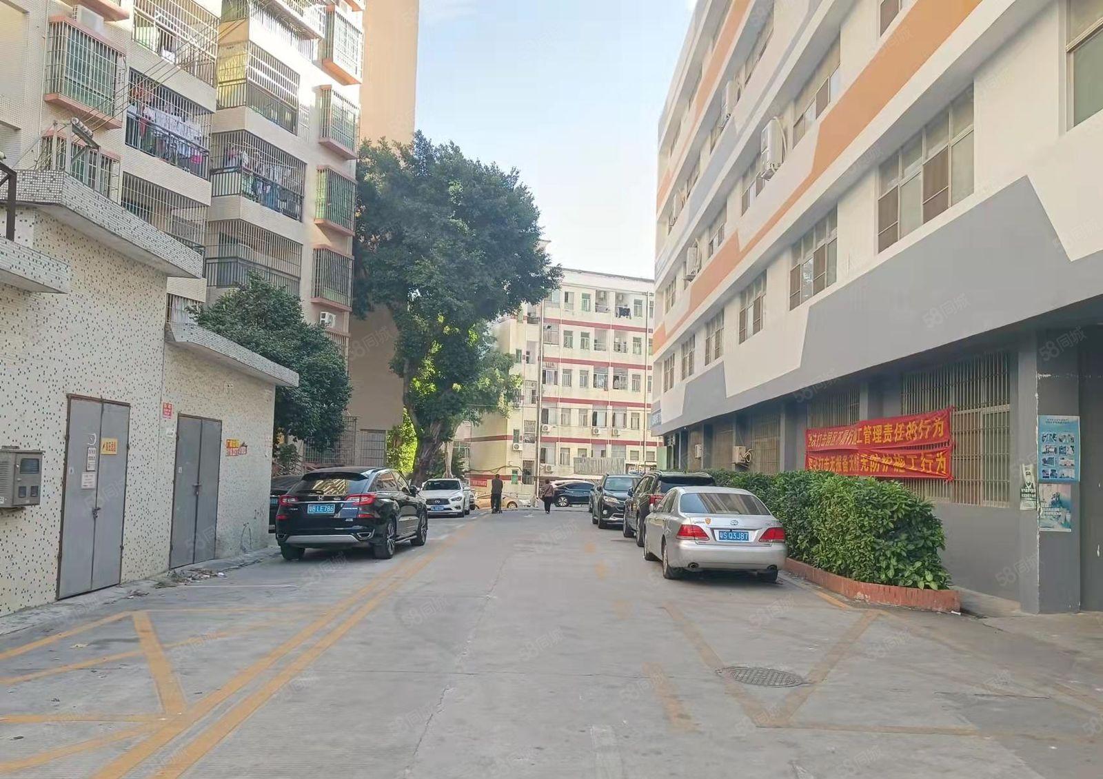 龙华天虹旁新出标准一楼厂房出租450平水电齐全