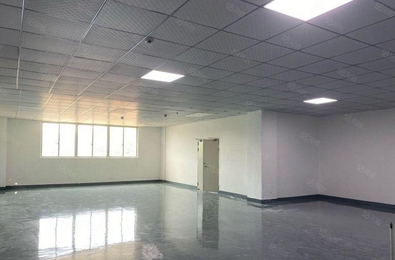 观澜福民小面积厂房200平320平420平520平仓库精装修