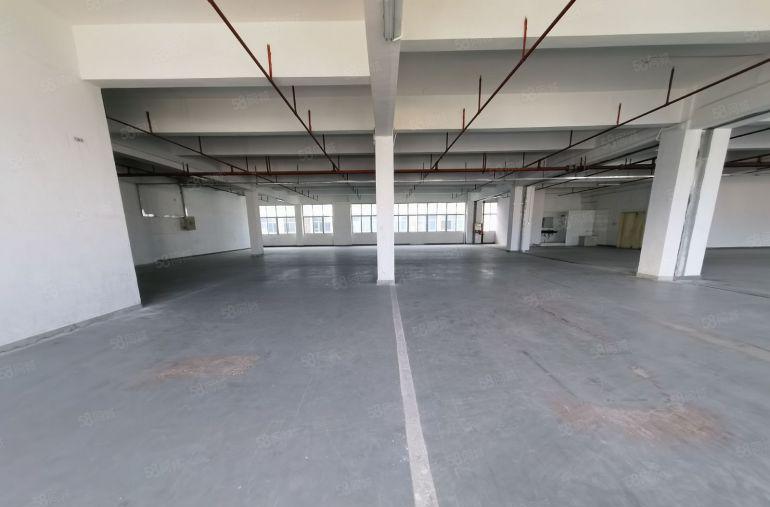 龙华大浪高新产业园1600平红本厂房 原房东直租大型园区