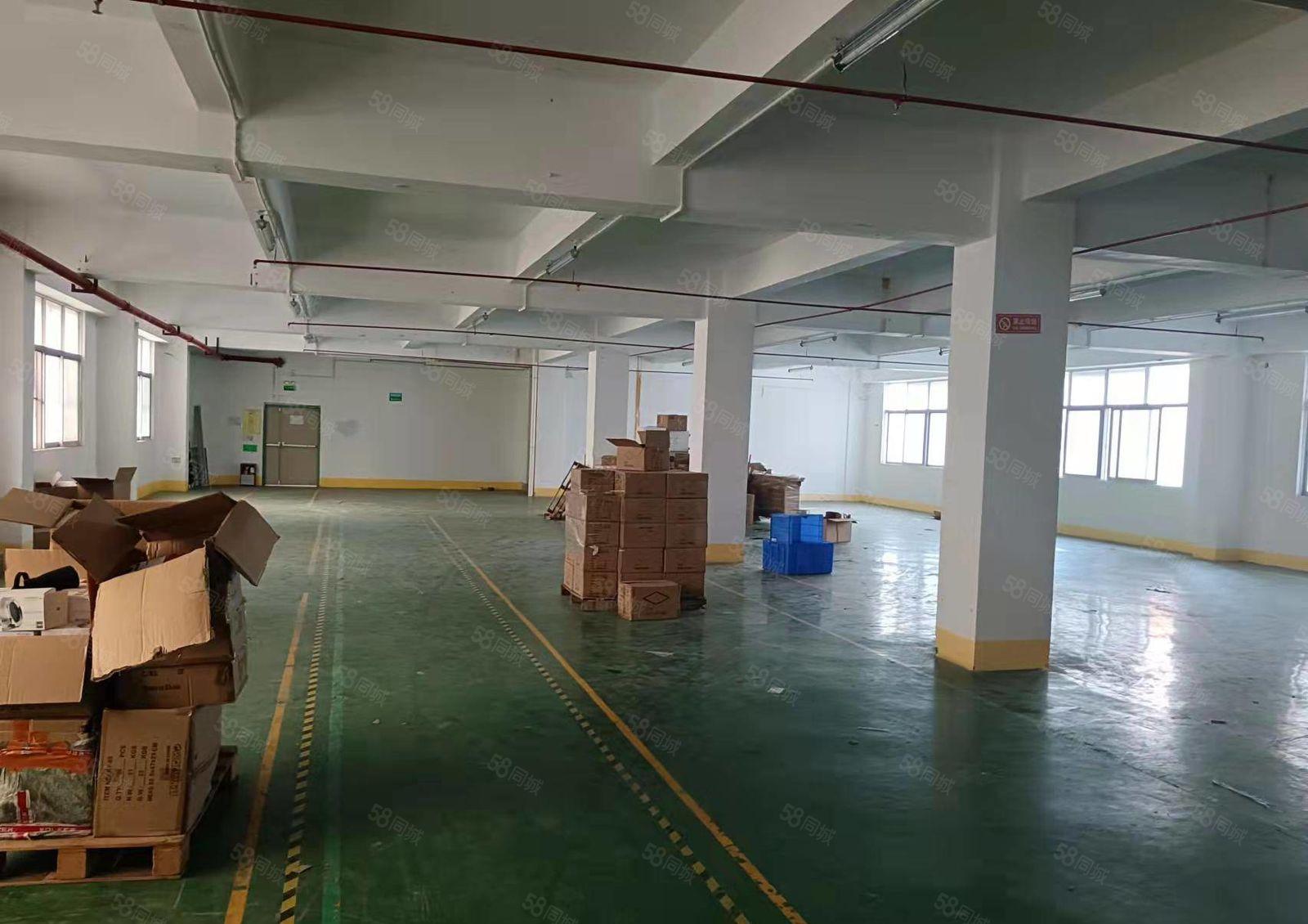 龙华大浪新出楼上1500平标准厂房出租