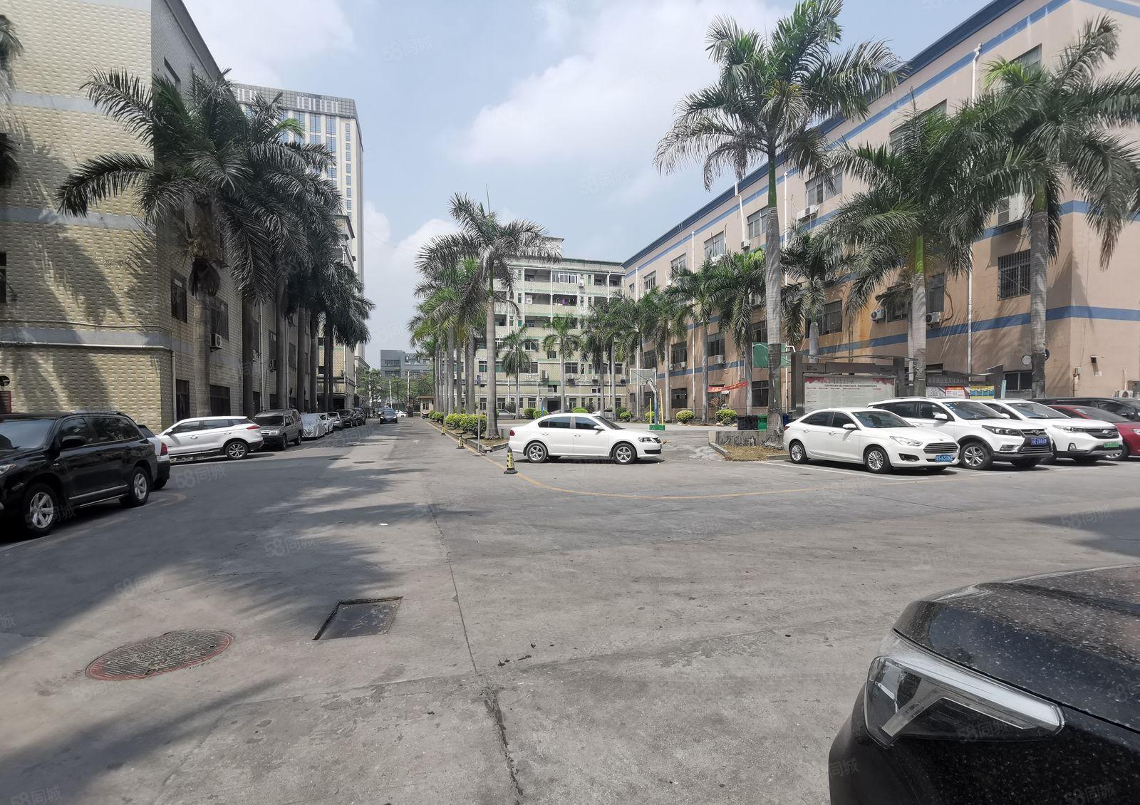 龙华油松300至1000平原房东独院精装修办公室仓库厂房出租