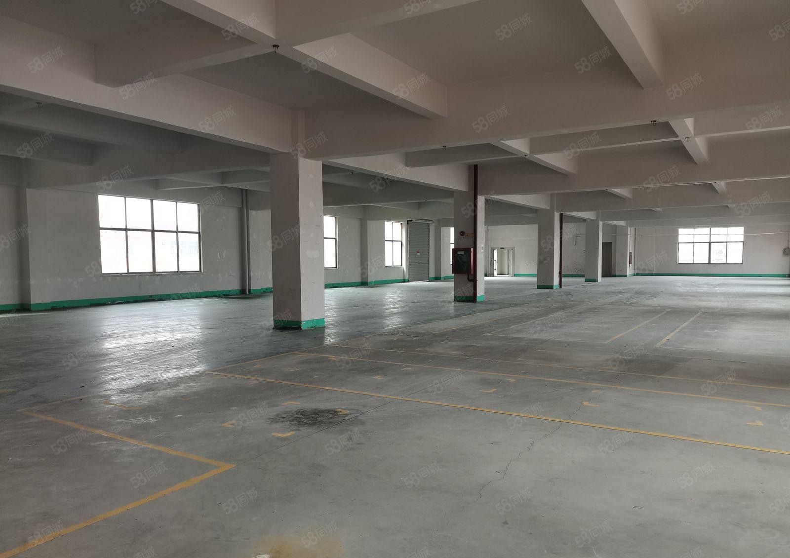 观澜原房东标准厂房楼上一整层1300平米招租！