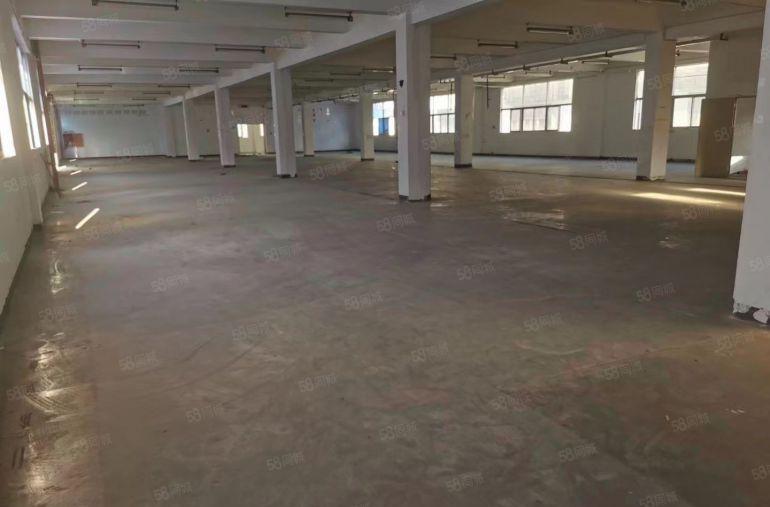 龙华大浪原房东一楼1500招租可分租