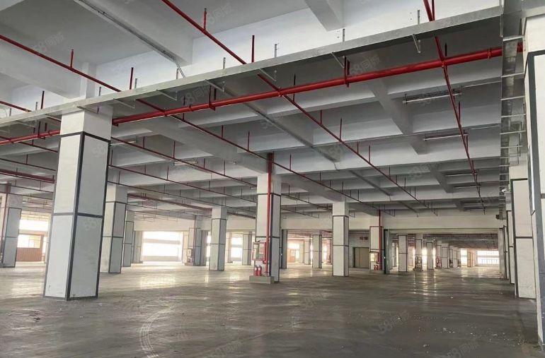 租金19元一平 5吨大货梯 1000平至5千平 龙华电商仓库