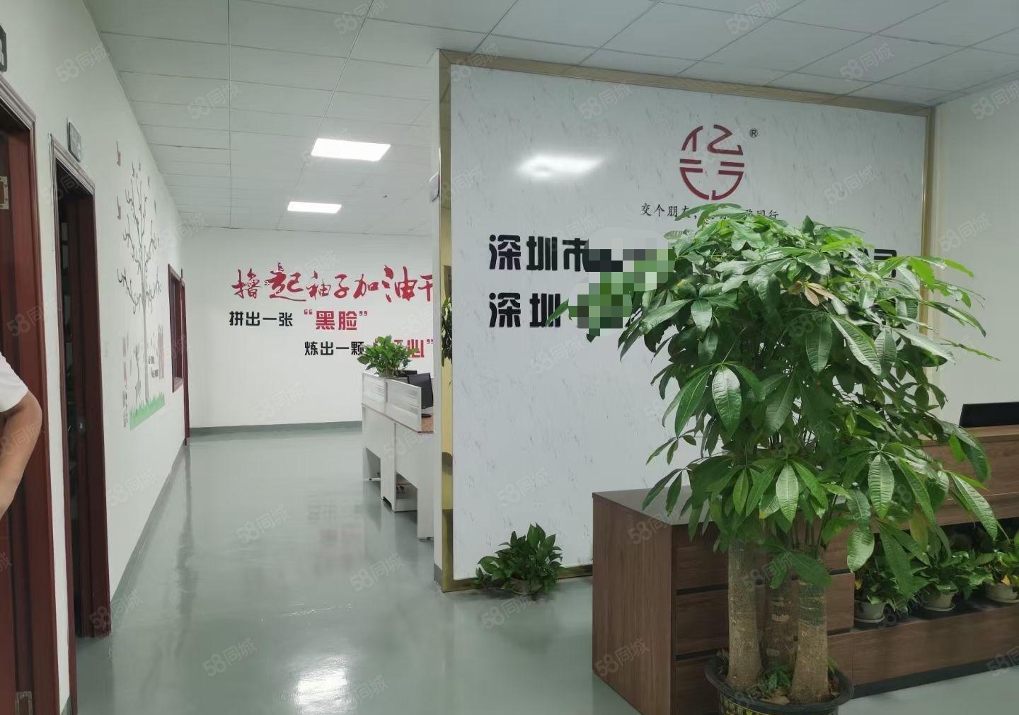 大浪康发，新围精装800平厂房，28元每平出租