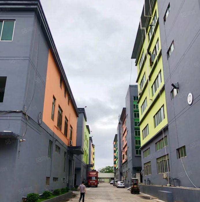 红本厂房业主直租，欢迎看房